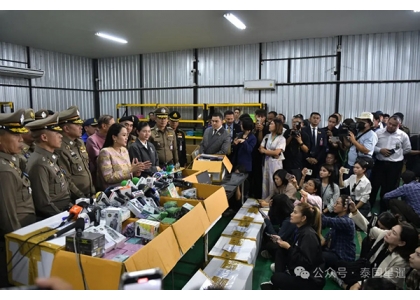 2025–03-18 泰国总理亲自突查非法电子烟仓库 26万件非法电子烟被查扣